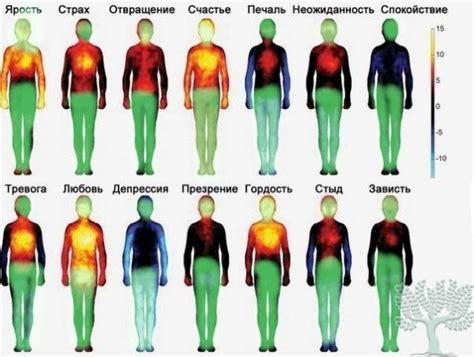 Проявление скрытых эмоций в сновидениях