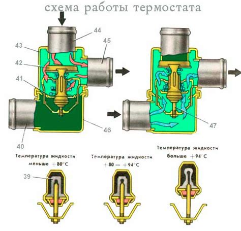 Работа и назначение термостата: принципы устройства