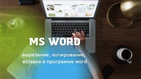 Работа с фрагментами звуковых файлов: вырезание, копирование и вставка