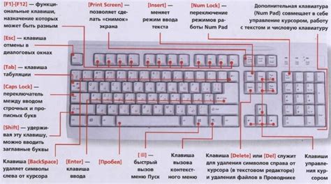 Разбираемся с функциями клавиш F1-F12