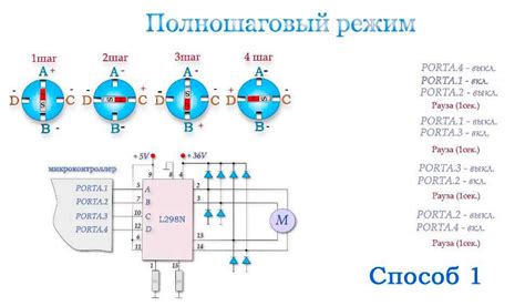 Разбор основных моделей и их характерных особенностей