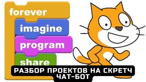 Разбор понятий в Скретч: дешифровка терминов и понятийной терминологии