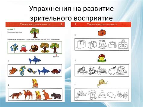 Развитие зрительного восприятия: 10 эффективных упражнений для тренировки дома