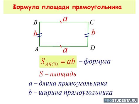 Раздел: Основы измерения площади прямоугольника