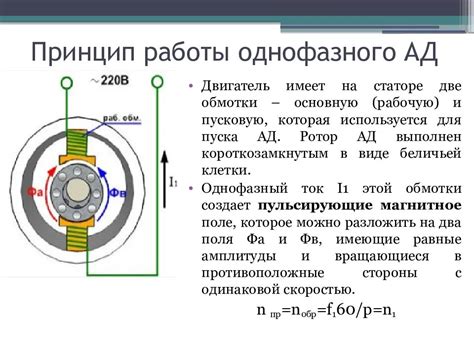 Раздел: Термограф: принцип работы и области применения