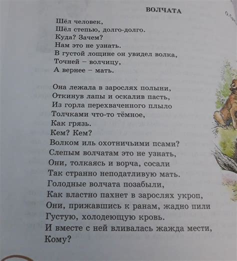 Раздел: Установление пауз и ритма в стихотворении