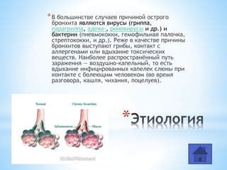 Раздел: Эффективность при лечении кашля, бронхита и других проблем с дыхательной системой