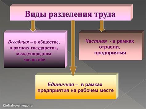 Разделение труда и профессиональные обязанности