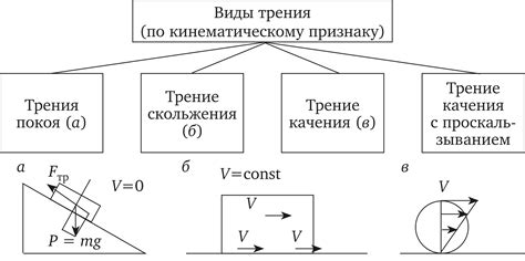 Различные виды трения и их особенности