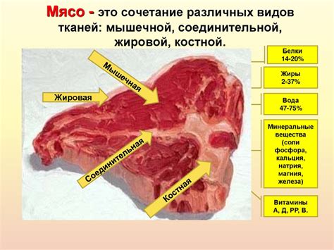 Различные методы обработки мяса для приготовления фюме