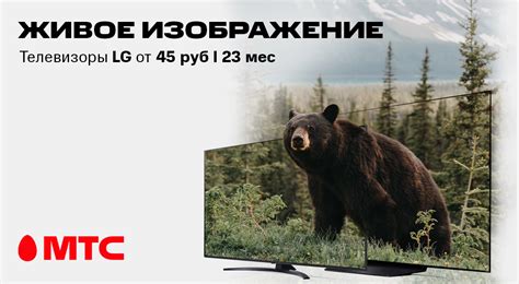 Различные модели телевизоров LG: выбор подходящего варианта