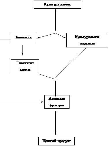 Различные подходы к обработке сырья в печоре для изготовления шрота