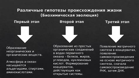 Различные предположения и гипотезы о самом сущности имени у великого художника и его спутницы