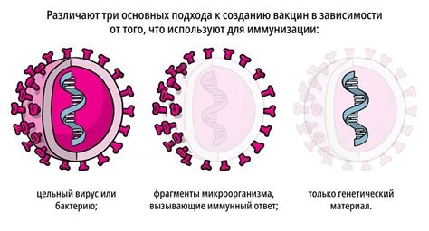 Различные типы вакцин и их уникальные характеристики