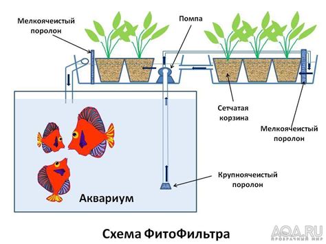 Размещение стеклянных панелей в аквариуме