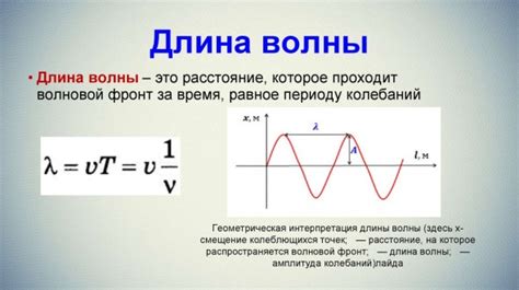 Разнообразие колебаний в физике