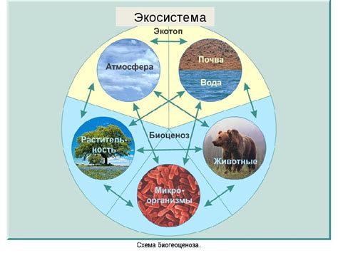 Разнообразие среды: добавление укрытий и декораций