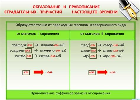 Разнообразные примеры применения сокращенных и полных форм причастий в практике