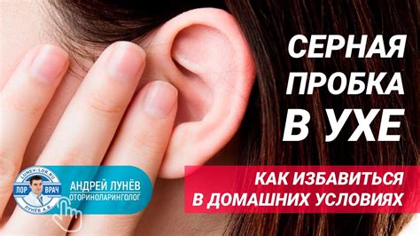 Разнообразьте текст синонимами: ополосните ухо питомца, чтобы удалить накопившийся серный пробка