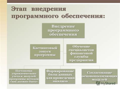 Разработка и внедрение программного обеспечения в контексте управленческого учета