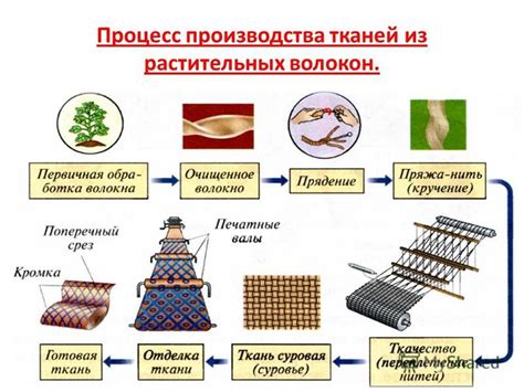 Рами: прочный и долговечный материал из растительных волокон