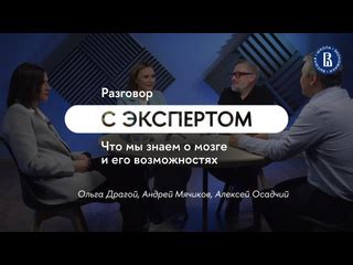 Распознайте потенциал Сбис и узнайте о его возможностях