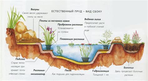 Расположение клематисов на разных уровнях: трехмерный эффект в ландшафтном дизайне