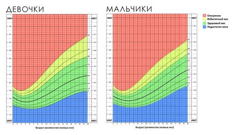 Распределение веса ребенка в коляске: важное условие комфорта и безопасности