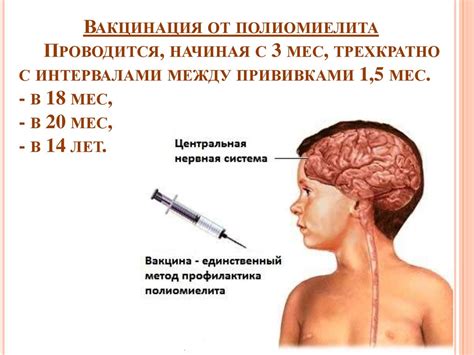 Распространение и методы передачи возбудителя заболевания