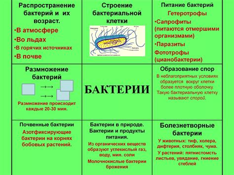 Распространение патогенной бактерии и источники заражения