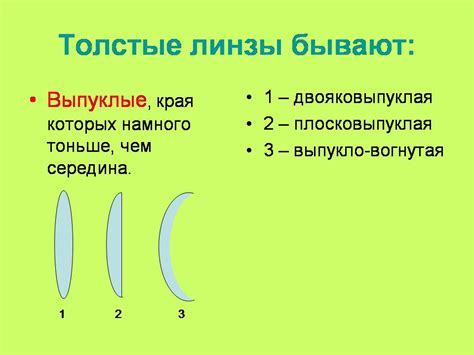 Распространенность столкновений пернатых с прозрачными поверхностями