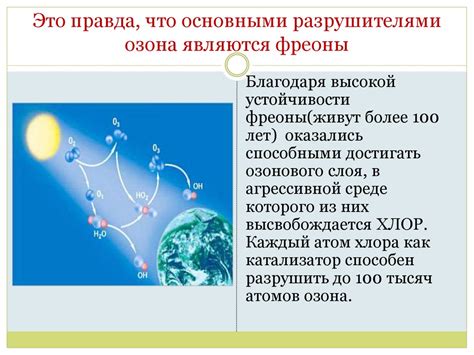 Распространенные заблуждения об отключении приложения поиска