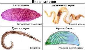 Распространенные симптомы глистов