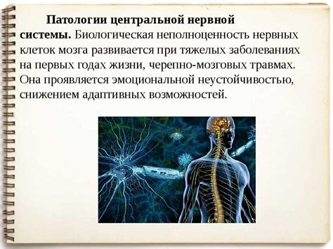 Расстройство нервной системы: когда возбуждение приходит к перегрузке