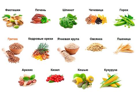 Растительные продукты, богатые полезными масляными кислотами