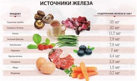 Растительные продукты: альтернативные источники железа для вегетарианцев