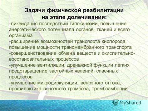 Расширение памятных возможностей и повышение умственного потенциала