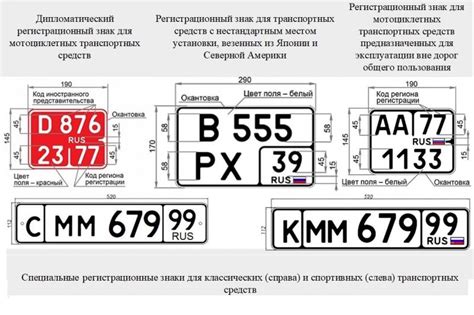 Расшифровка автомобильного номера: как получить контактные данные владельца