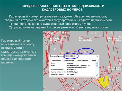 Расшифровка кадастрового номера: значение каждой цифры и буквы