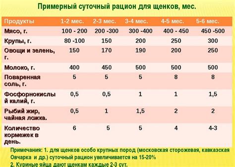 Рацион: частота и количество кормлений