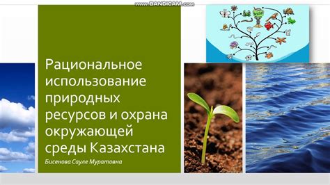 Рациональное использование и долгосрочный благотворный эффект