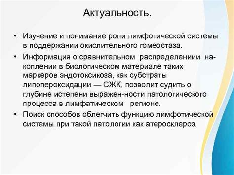 Рациональное питание и его роль в поддержании нормальной работы лимфатической системы