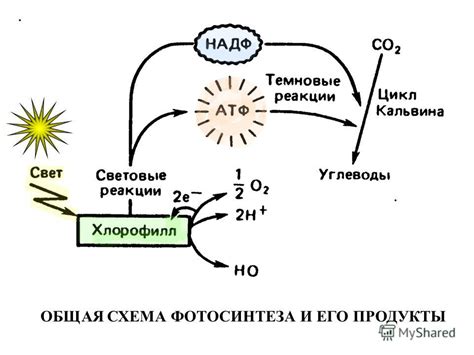 Реакция на подавляющую энергию