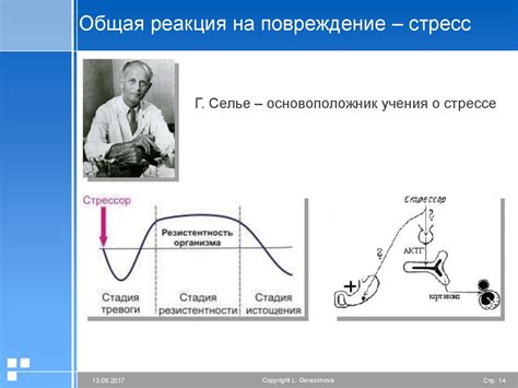 Реакция на стресс или перегрузку