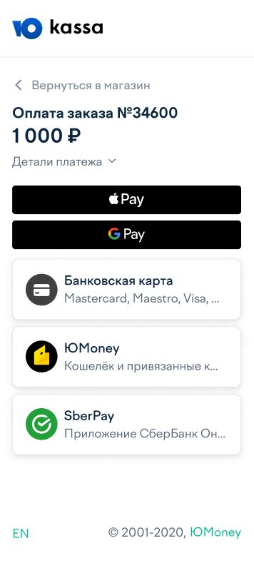 Регистрация аккаунта SberPay: выбор способа аутентификации