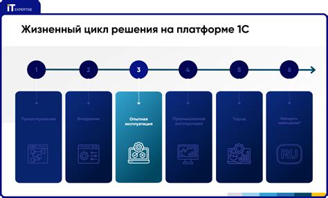 Регистрация в платформе вознаграждений: этапы и особенности