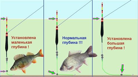 Регулировка поплавка для эффективной ловли