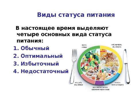 Режим питания: обеспечение стабильности организма и профилактика пищеварительных проблем