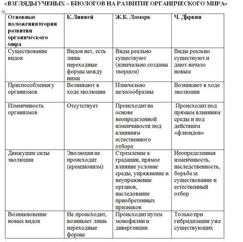 Результаты и их описание