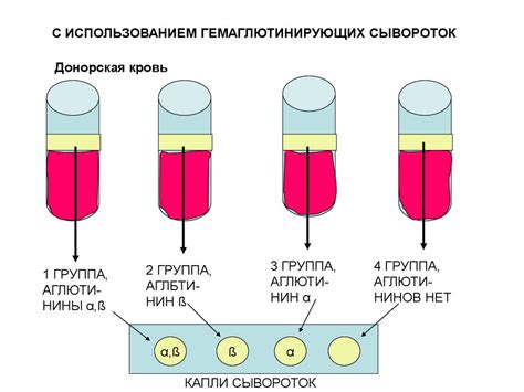 Резус-фактор: роль в процедуре переливания крови